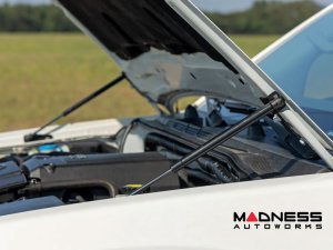 Nissan Frontier Hood Struts - Hydraulic (2005-2021)